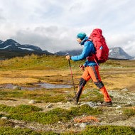 Trekking Poles